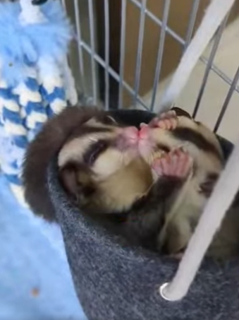 L3101001 La ayuda hizo posible el cambio (Parte 2)