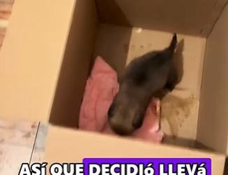 L3101006 La bondad llego primero (Parte 2)