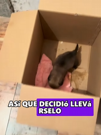 L3101006 La bondad llego primero (Parte 2)