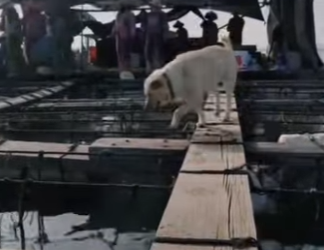 L3101005 El cuidado trajo tranquilidad (Parte 2)