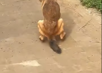 L3101008 Una historia encontro esperanza (Parte 2)