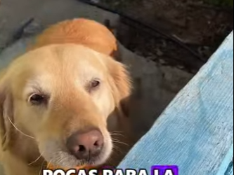 L3101014 El rescate dio nueva esperanza (Parte 2)