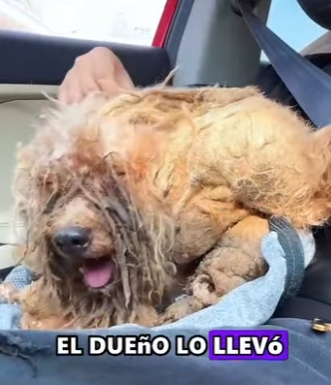 L3101009 Hoy comenzo una historia mejor (Parte 2)