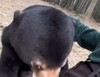 L3101004 El rescate abrio un futuro (Parte 2)