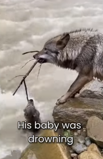 M0101016 He Saved Me (Part 2)