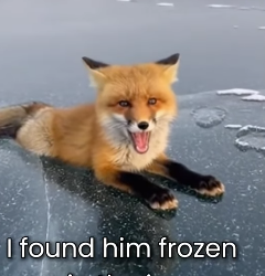 M0101012 Vet Said He Would Never Walk Again(Part 2)