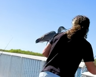 B0501003 Some people harm without thinking (Part 2)