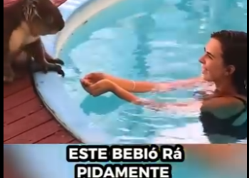 R0501010 Compasión en acción hoy (Parte 2)