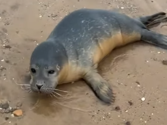 R0501012 Una vida valiosa protegida (Parte 2)