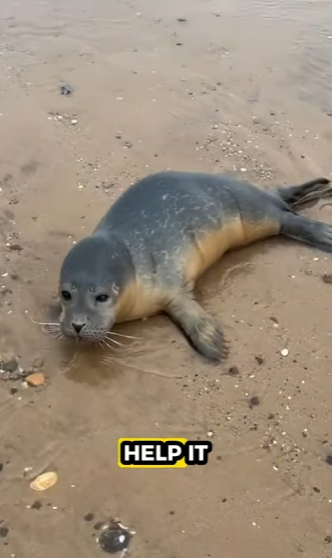 R0501012 Una vida valiosa protegida (Parte 2)