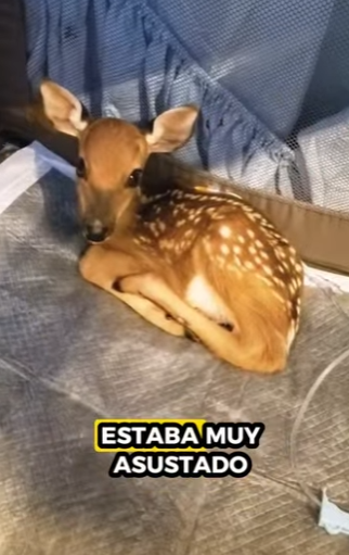 R0501011 Sus ojos por fin encontraron paz (Parte 2)