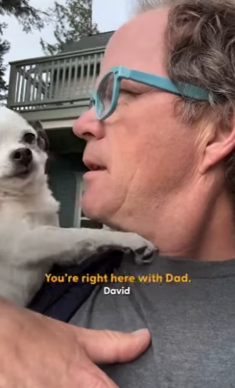 W0101014 Dad Treats Senior Chihuahua He Didn Even Want Like Royalty (Part 2)