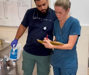 Rescued an abandoned white horse ruins (Part 2)