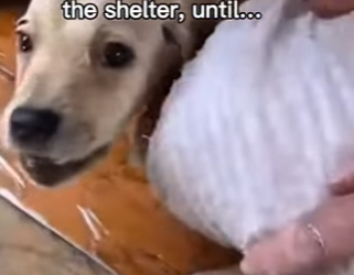 F0601007 no se llego un reporte y esto fue lo que paso (Parte 2)