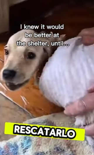 F0601007 no se llego un reporte y esto fue lo que paso (Parte 2)