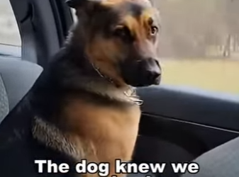 F0601006 ¡Esto fue de pelicula! Lo que paso después (Parte 2)