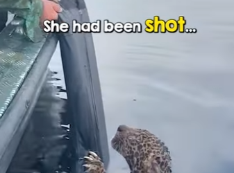 B0501007 Thank you helping beautiful creature (Part 2)