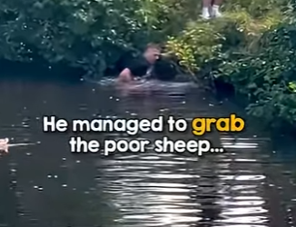 B0501008 Some heroes wear shirts (Part 2)