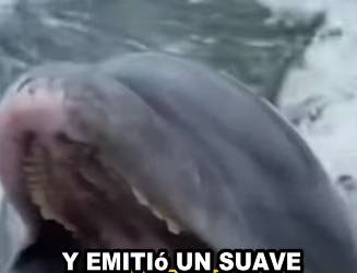 R0701014 Un corazón salvado hoy. (Parte 2)