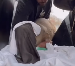 R0701013 El cuidado crea milagros reales. (Parte 2)