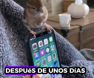 R0701002 Un futuro lleno de cuidado. (Parte 2)