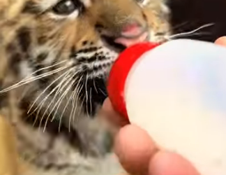 R0701007 Hoy ganó el amor. (Parte 2)