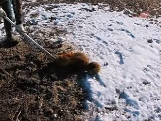 I0501009 Kindness changed everything today. (Part 2)