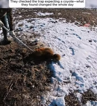 I0501009 Kindness changed everything today. (Part 2)