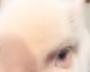 Y2912003 Rescued lost pig raise it (Part 2)