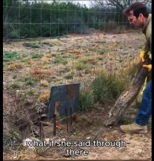 I0501006 Every life deserves a second chance. (Part 2)