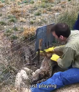 I0501001 From fear to safety in seconds. (Part 1)