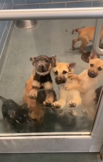 A0701007 Hoy volvió la esperanza. (Parte 2)