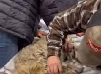 A0701001 Una vida protegida es una victoria. (Parte 1)