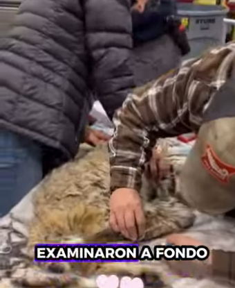 A0701001 Una vida protegida es una victoria. (Parte 1)