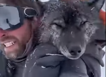 F0701007 este lobo me solprendiio al final (Parte 2)