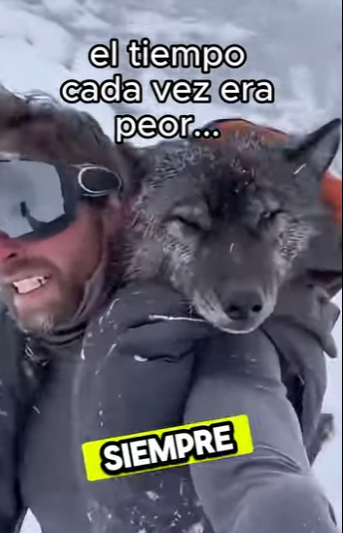 F0701007 este lobo me solprendiio al final (Parte 2)