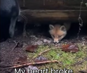 M0501003 When Knew Why He Was Doing That… It Broke My Heart (Part 2)