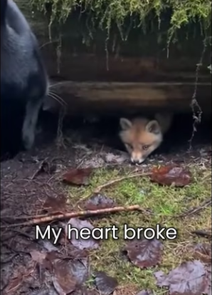 M0501003 When Knew Why He Was Doing That… It Broke My Heart (Part 2)