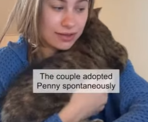 W0506006 Abandoned cat hugs human who gave her home (Part 2)