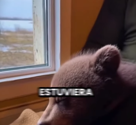 L0201003 Rescate exitoso (Parte 2)