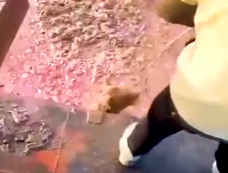 B0701001 Bravery compassion (Part 2)