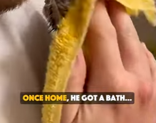 B0501009 Thank you stopping (Part 2)