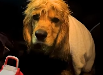 B0501011 He knew who to ask help (Part 2)