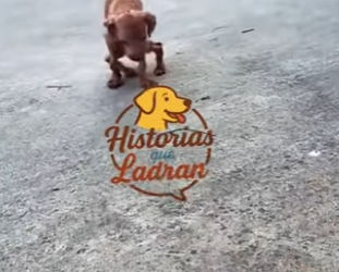 M0202010 El cuidado transformo su destino (Parte 2)