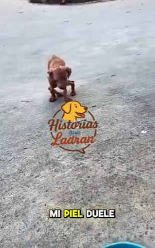 M0202010 El cuidado transformo su destino (Parte 2)