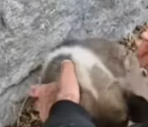 M0802002 Me dejaron moribundo todo por un simple vaso de cristal (Parte 2)