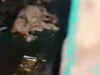 M0202007 De la incertidumbre a la calma (Parte 2)