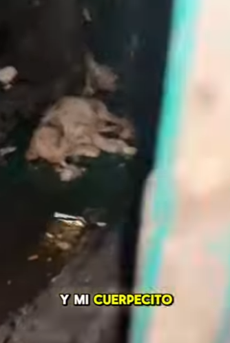 M0202007 De la incertidumbre a la calma (Parte 2)