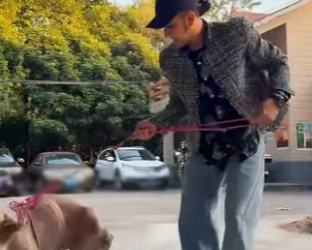 A0602003 Tuvo muchas enfermedades, pero se salvó (Parte 2)