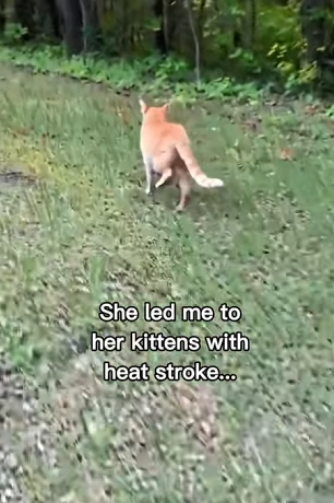 P0702009 made me cry so much (Part 2)